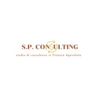 S.P. CONSULTING logo - Similar company to 3D Vault