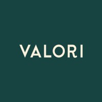 Valori AS logo - Similar company to Hawk Solutions