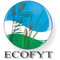ECOFYT, constructed wetlands