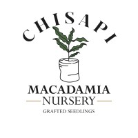 Chisapi Seedlings logo - Similar company to Intrax.Farm