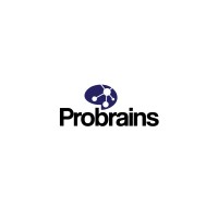 Probrains Technologies (Private) Limited. logo - Similar company to Probrains.Co