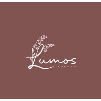 LUMOS Agency.net logo - Similar company to Alge