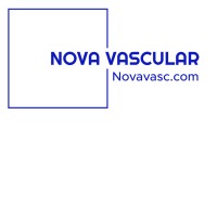Nova Vascular logo - Similar company to Varixio Latam