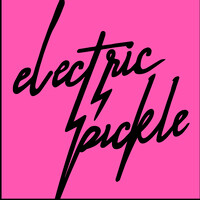 Electric Pickle logo - Similar company to Singtech Inc. Dba Kickpower