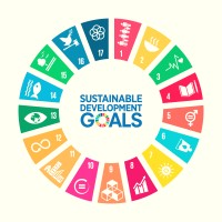 Punjab SDGs Unit logo - Similar company to Sudo Tech