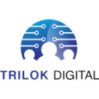 TRILOK DIGITAL logo - Similar company to Digitalplug.In