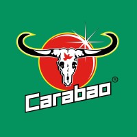 Intercarabao Limited logo - Similar company to Azilo Training