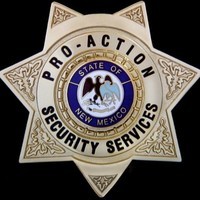 Pro Action Security Services logo - Similar company to Raunik Greentech