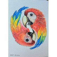 Scarlet Macaw Capital LLP logo - Similar company to Compliance Approved