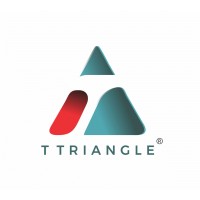 T TRIANGLE LIMITED logo - Similar company to Lineriders