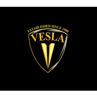 VESLA MOTORS L.L.C logo - Similar company to Metainsights Bv