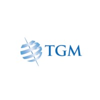 Tactical Global Management Limited logo - Similar company to Ficcit Inc