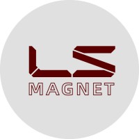 Lishui magnet logo - Similar company to Buyfox Ecommerce