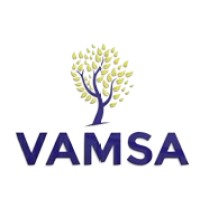 VAMSA logo - Similar company to Mse Landscape Professionals