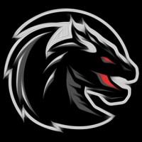 Enigmadragons