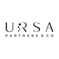 URSA Partners & Co logo - Similar company to Ursa