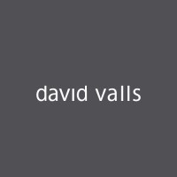 David Valls logo - Similar company to Amt.