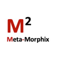 Meta-Morphix Ltd