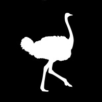 Flying Ostrich Media, Inc. logo - Similar company to Create Studios Inc.