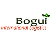 BOGUI INTERNATIONAL LOGISTICS logo - Similar company to Africaship