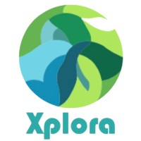 Xplora logo - Similar company to Prorsum Online