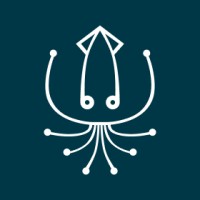 Curious Squid logo - Similar company to Twig+Fish Research Practice