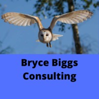 Bryce Biggs Consulting; tailored, collaborative, value addition logo - Similar company to Engage Sa - Engaged Employees Separate Great Companies From The Good