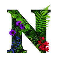 Newquay Garden Centre logo - Similar company to Experience Newquay