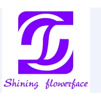 Face Paint Shijiazhuang Ditiantai Electronic Commerce Co., Ltd logo - Similar company to Electronic Commerce, Inc. (Eci, Inc.)