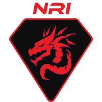 Naga Rubi Inovasi logo - Similar company to Palm Game Studio