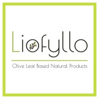 Liofyllo logo - Similar company to Optionsnet It Services