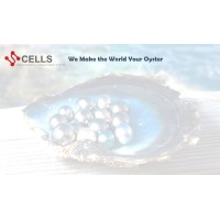 CELLS Management and Consultancy Pte Ltd logo - Similar company to It Learning Solution Asia