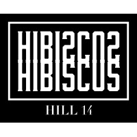 Hibiscus logo - Similar company to Tudodesk