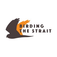 Birding The Strait