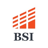 BS Industry logo - Similar company to Raymon Drones