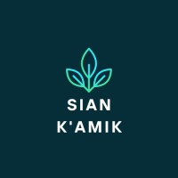 SianKamik logo - Similar company to Minenext