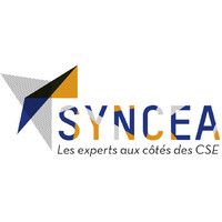 SYNCEA logo - Similar company to Eklo Performance