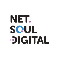 NetSoul Digital logo - Similar company to Btroops