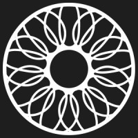 Apollo Private Wealth logo - Similar company to Boltldn