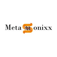 Metasonixx Ltd logo - Similar company to Kazilytics Ltd