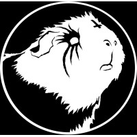 Evil Guinea Pig logo - Similar company to Diarc Studio