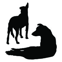 Beltrame + logo - Similar company to Quitanda Soluções Criativas