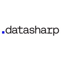 .Datasharp logo - Similar company to Infobelpro