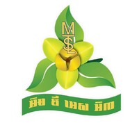 MTSL Investment CO., Ltd logo - Similar company to Mtsl Surveys