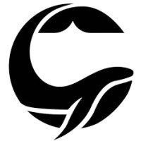carehopk logo - Similar company to Code Pulse