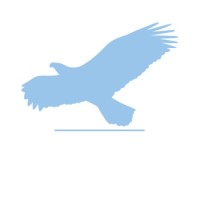 Girls Who Venture logo - Similar company to Insight Consulting Group