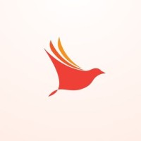Robin logo - Similar company to Kingschat