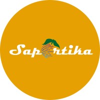 Saportika-The digital marketing experts logo - Similar company to Digital Spy Group