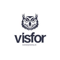 Visfor Danışmanlık logo - Similar company to Krm Yatırım Ve Dış Ticaret Yönetim Danışmanlığı