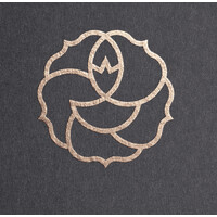 APIUM logo - Similar company to Apium